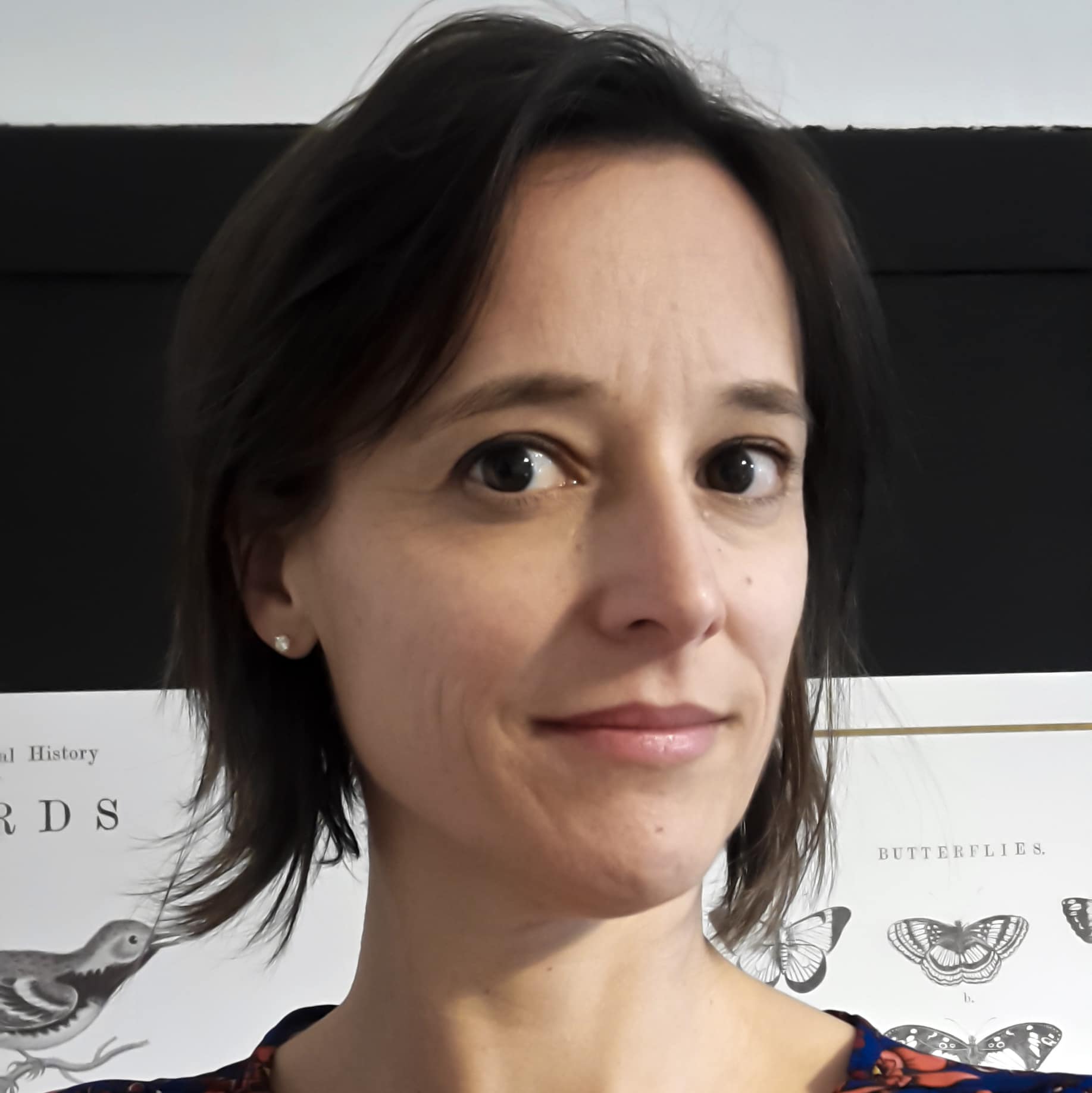 ANDREA HAUG