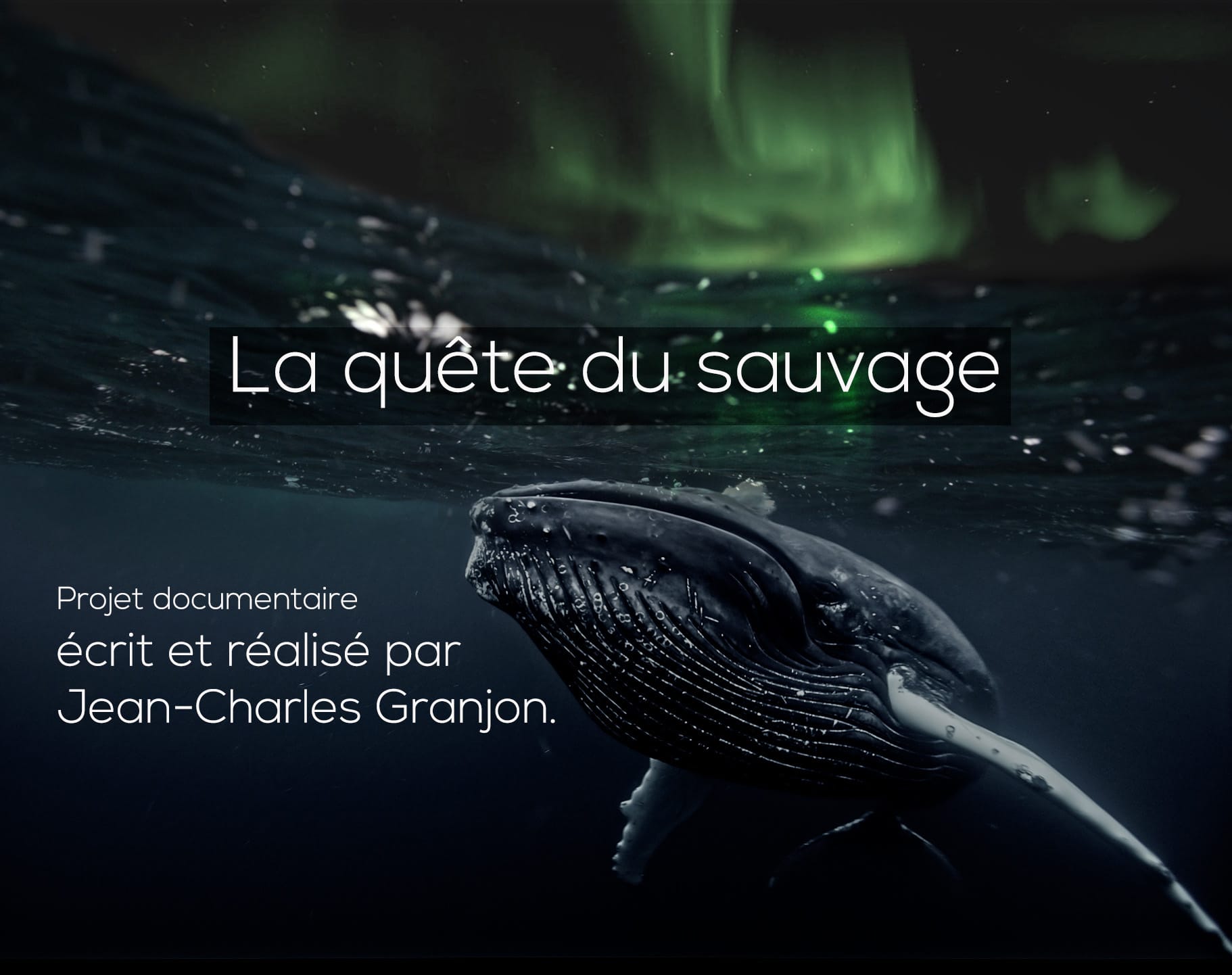 quête du sauvage portfolio bluearth quête du sauvage portfolio bluearth