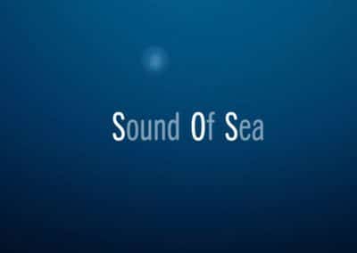 Sound Of Sea- EV