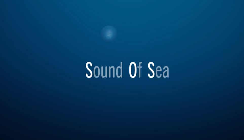 sound of sea portfolio Bluearth