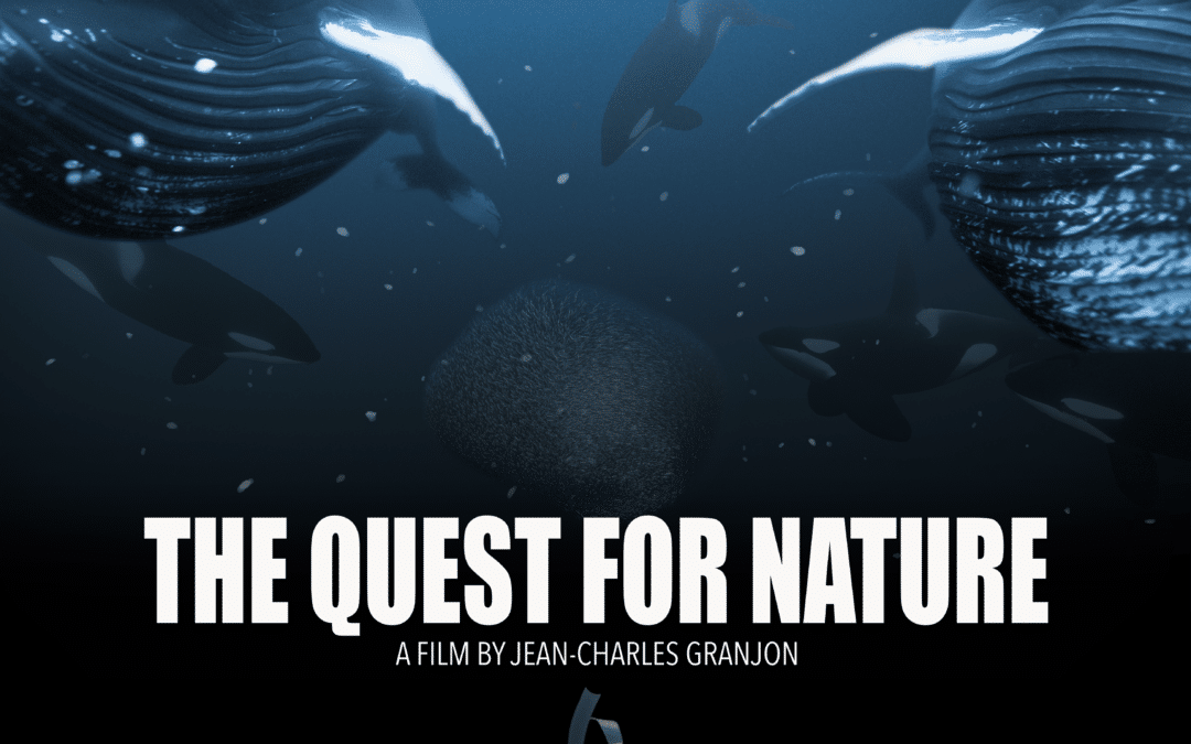 The Quest for nature