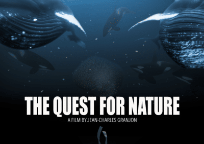The Quest for nature