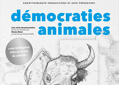 Démocraties animales