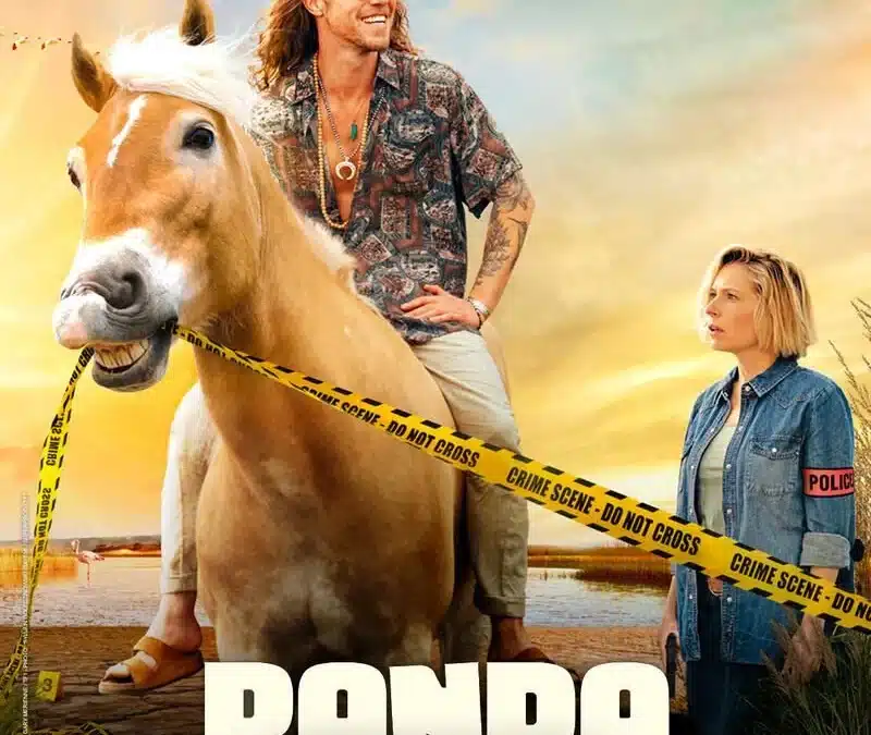 Panda Saison 2 – Nicolas Cuche et Jérémy Mainguy