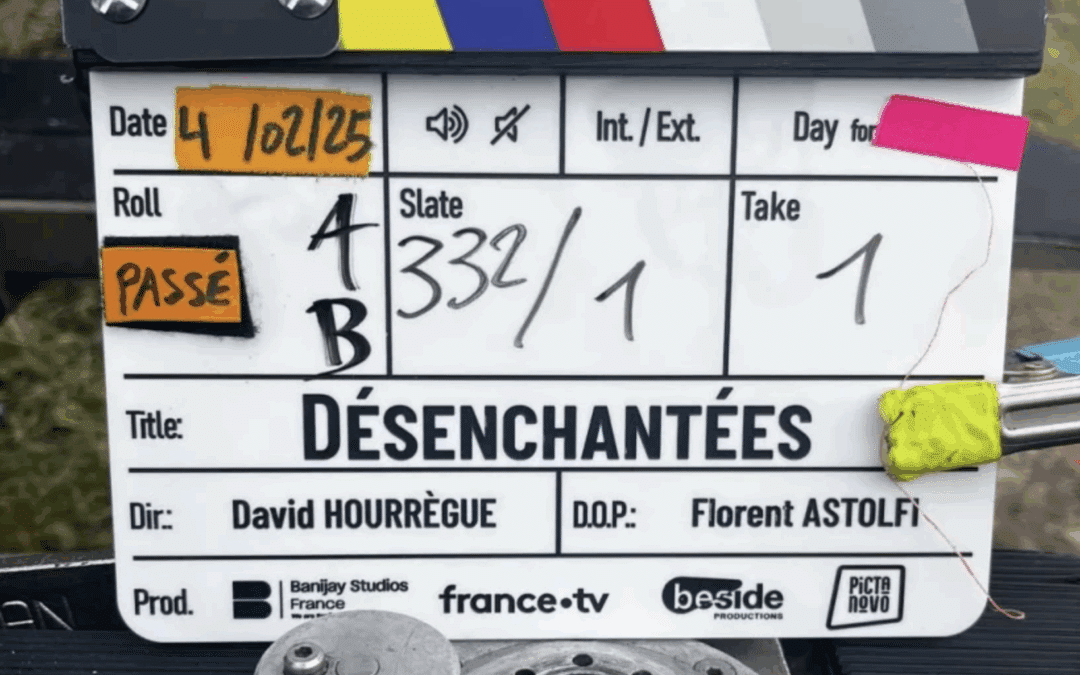 Désenchantées – David Hourrègue