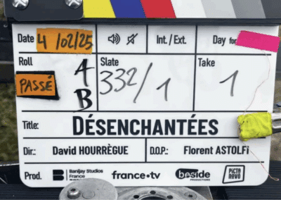 Désenchantées – David Hourrègue
