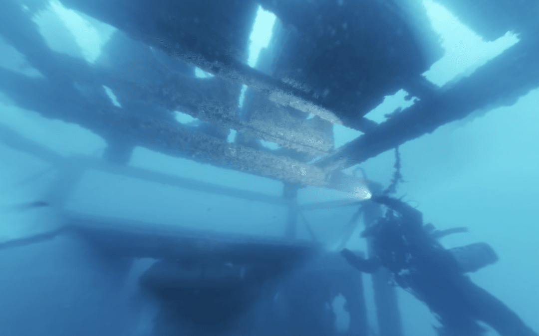 Les récifs du Prado en 360°